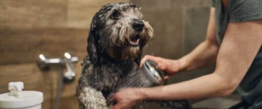 Hygien och omtanke