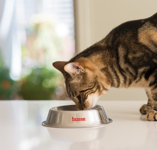 Blötmat katt - Aptit tonfisk, 12 påsar med smakrika aptitretare för katt - Bild 2