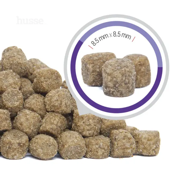 Hundmat - Sterilised Mini 2kg, komplett torrfoder för små raser, med högt proteininnehåll - Bild 4