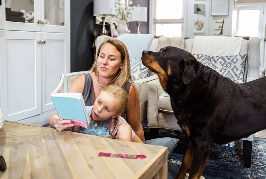 Rottweilerartikelbild
