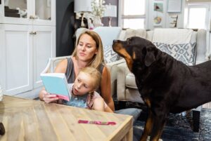 Rottweiler nyhetsbild