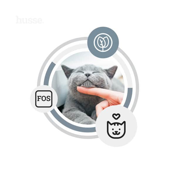 Katt som njuter av klappning