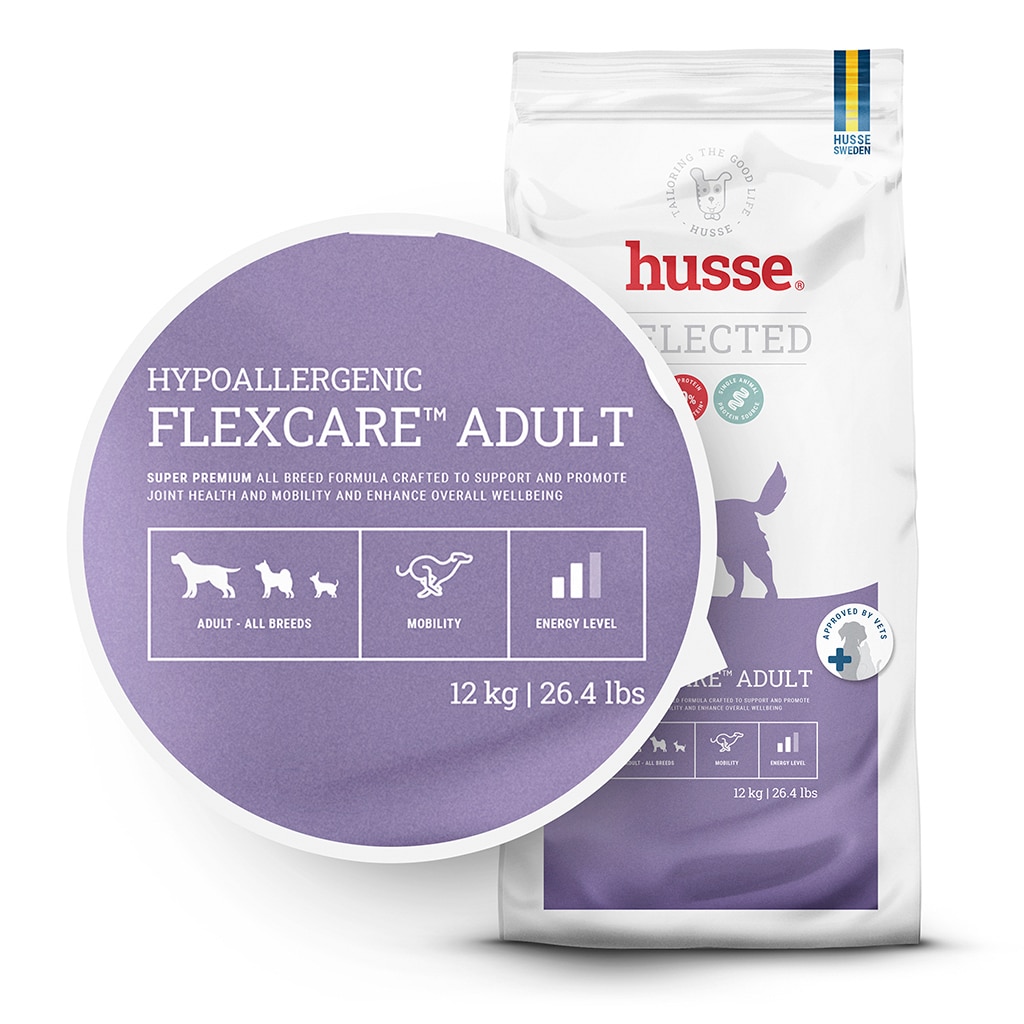 Hypoallergeniskt hundfoder för vuxna