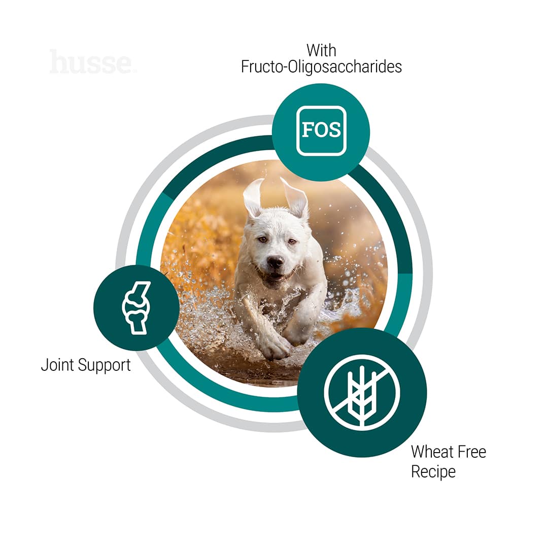 Hundmat - Adult Agility Large Breed 12 kg - Bild 4