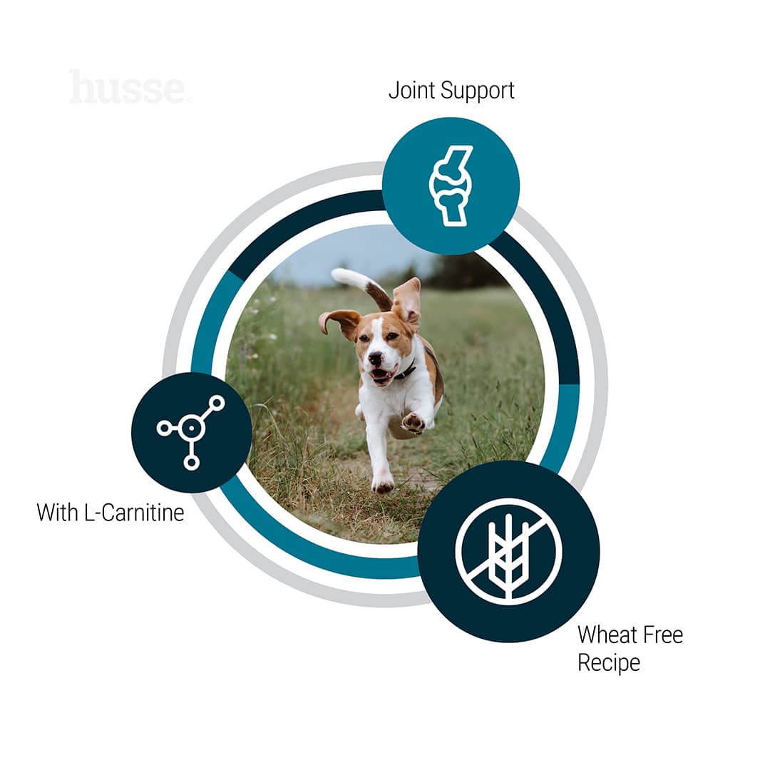 Hundmat - Adult Vitality - Bild 4