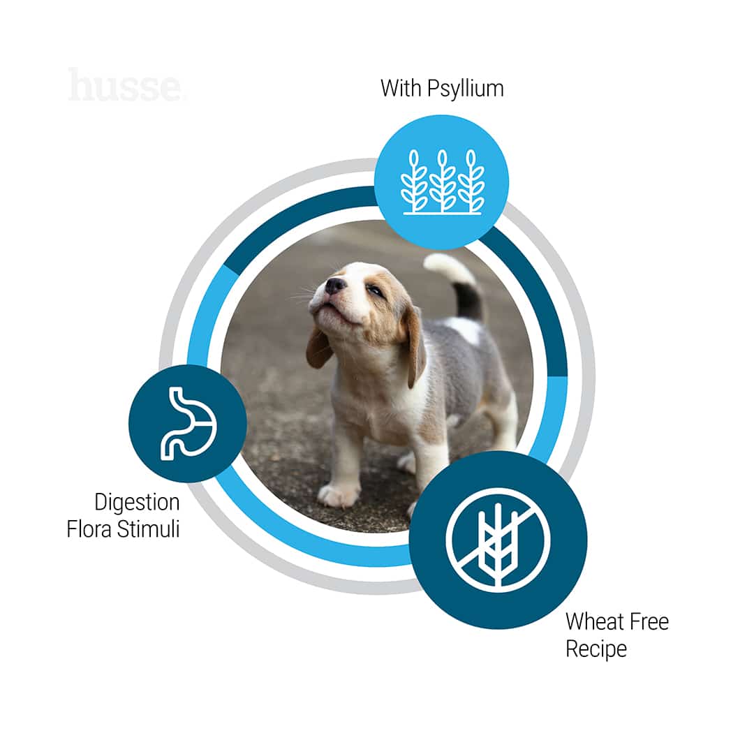 Puppy Balanced Growth